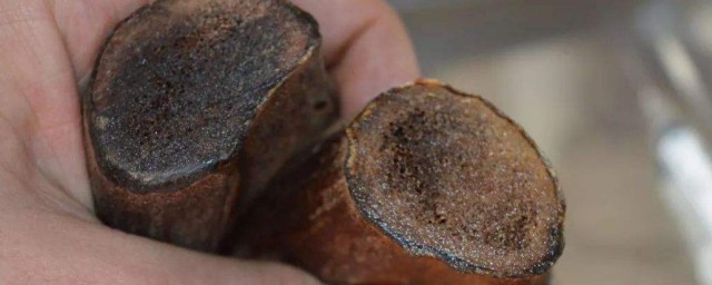 鹿茸存放方法 鹿茸如何保存