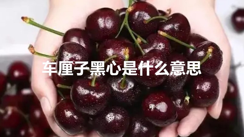 车厘子黑心是什么意思