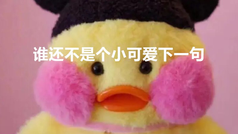 谁还不是个小可爱下一句