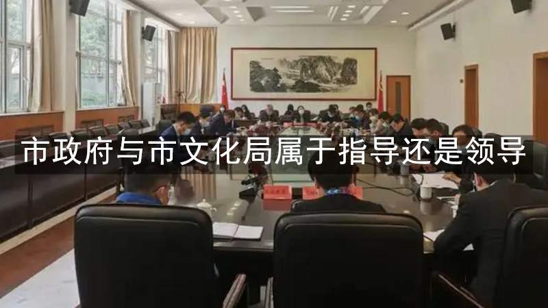 市政府与市文化局属于指导还是领导