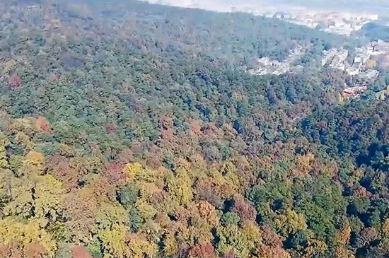 长沙有哪些好玩的地方