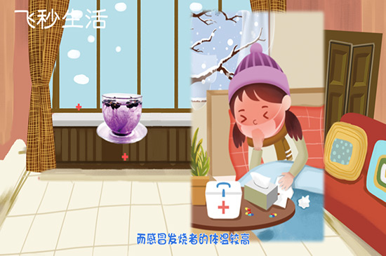 黑枸杞不适宜人群