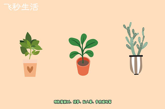 新房怎样去甲醛
