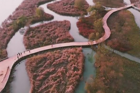 湿地又称为什么