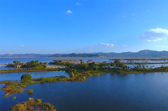 湿地又称为什么