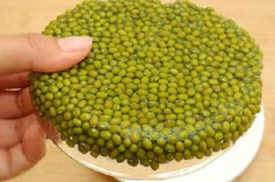 煮绿豆汤的正确方法