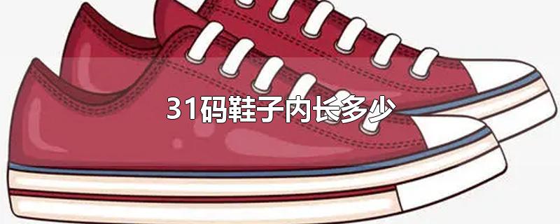 31码鞋子内长多少