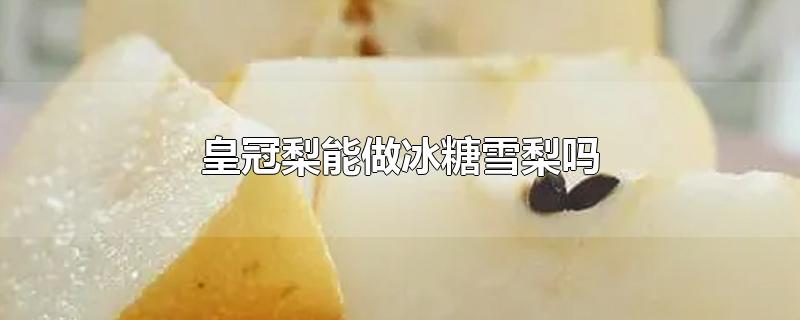 皇冠梨能做冰糖雪梨吗