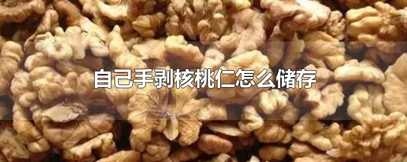 自己手剥核桃仁怎么储存