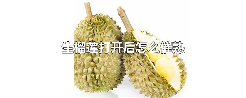 生榴莲打开后怎么催熟