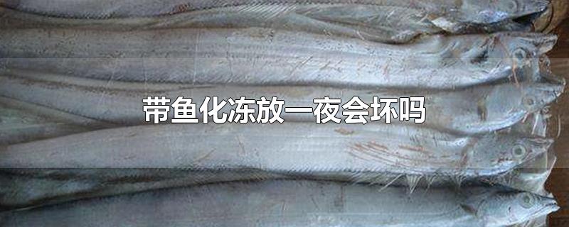 带鱼化冻放一夜会坏吗