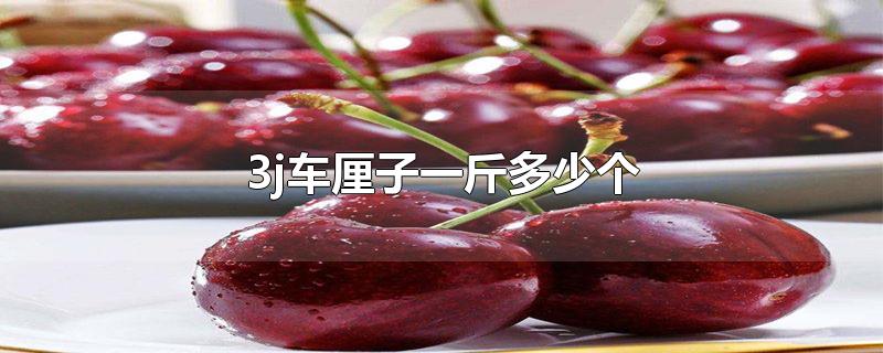 3j车厘子一斤多少个