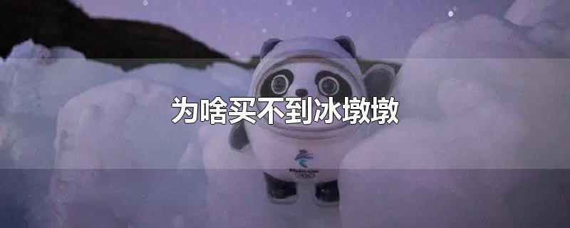 为啥买不到冰墩墩