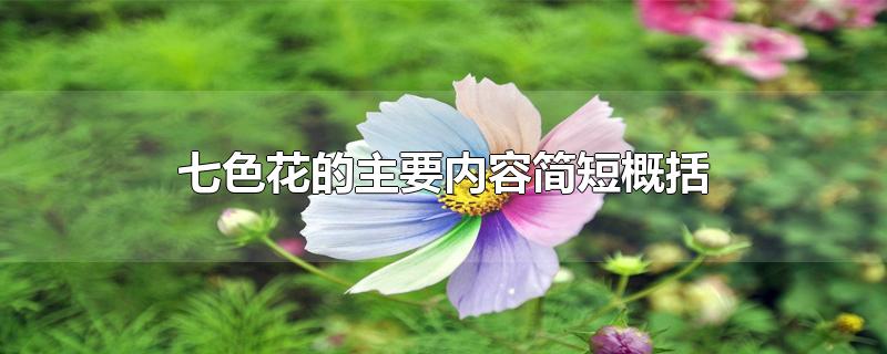 七色花的主要内容简短概括