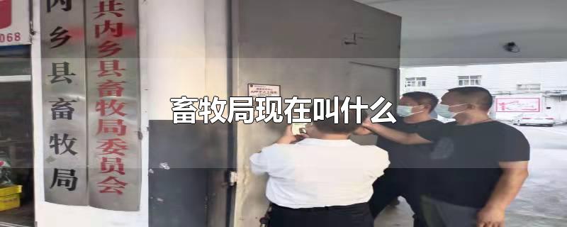 畜牧局现在叫什么