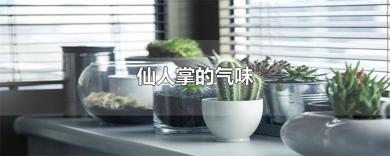 仙人掌的气味