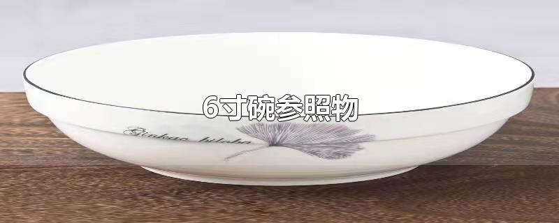 6寸碗参照物