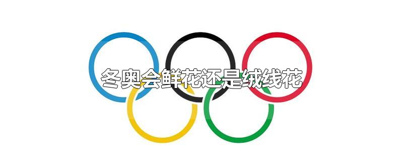 冬奥会鲜花还是绒线花