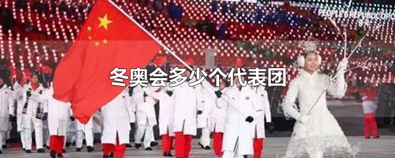 冬奥会多少个代表团