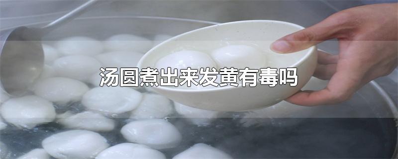 汤圆煮出来发黄有毒吗