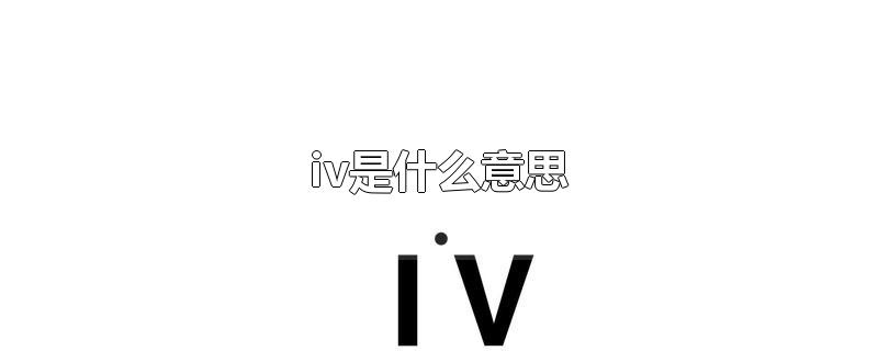 iv是什么意思