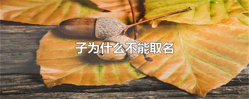 子为什么不能取名