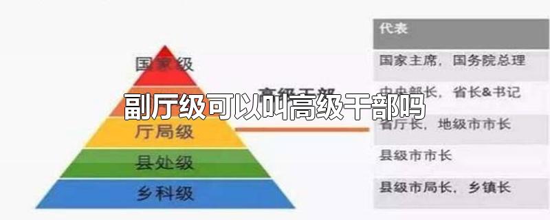副厅级可以叫高级干部吗