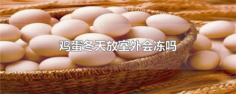 鸡蛋冬天放室外会冻吗