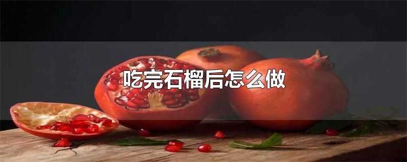 吃完石榴后怎么做