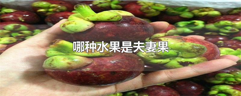 哪种水果是夫妻果