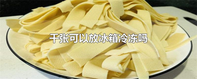 千张可以放冰箱冷冻吗