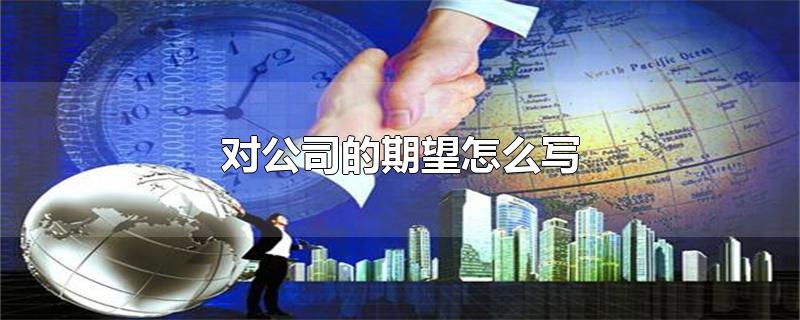 对公司的期望怎么写