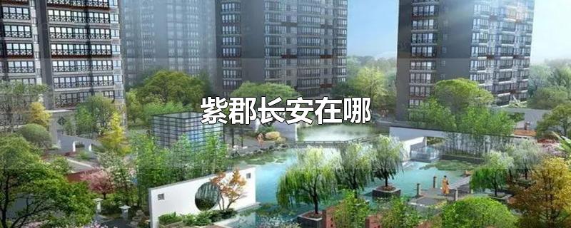 紫郡长安在哪