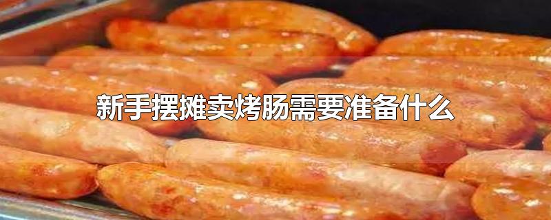 新手摆摊卖烤肠需要准备什么