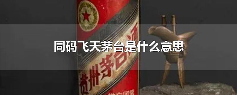 同码飞天茅台是什么意思