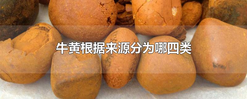 牛黄根据来源分为哪四类