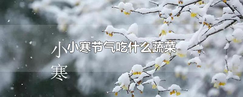 小寒节气吃什么蔬菜