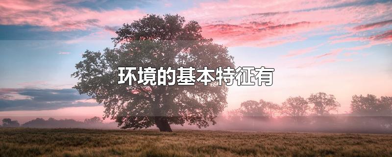 环境的基本特征有