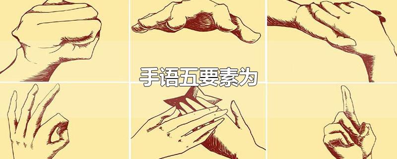 手语五要素为
