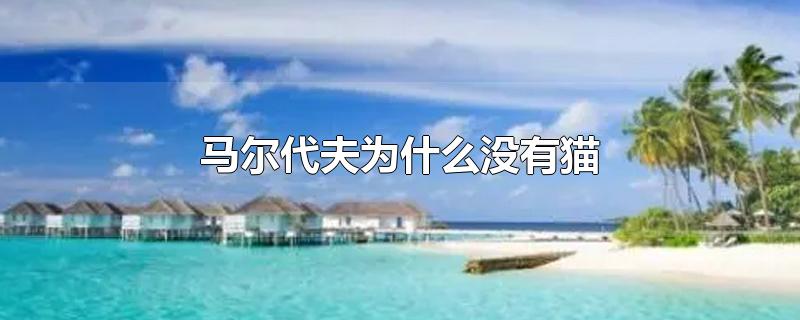 马尔代夫为什么没有猫
