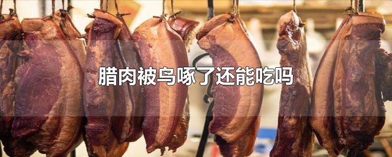 腊肉被鸟啄了还能吃吗