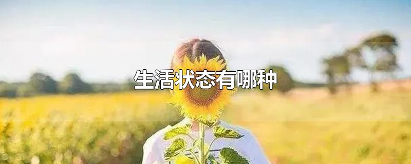 生活状态有哪种