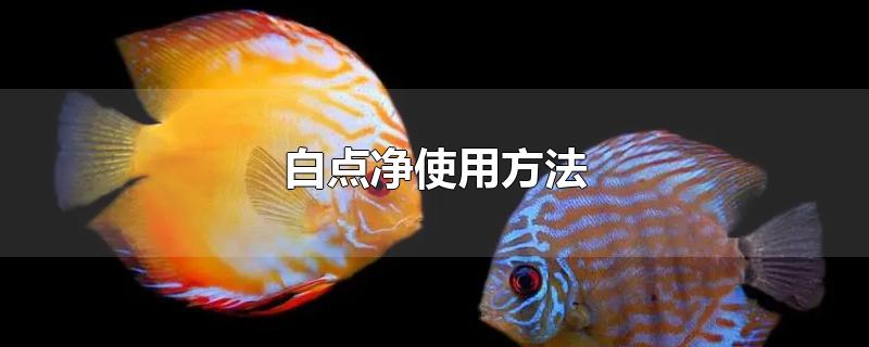 白点净使用方法