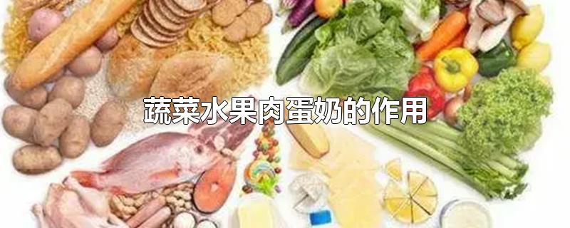 蔬菜水果肉蛋奶的作用