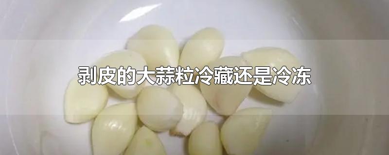 剥皮的大蒜粒冷藏还是冷冻