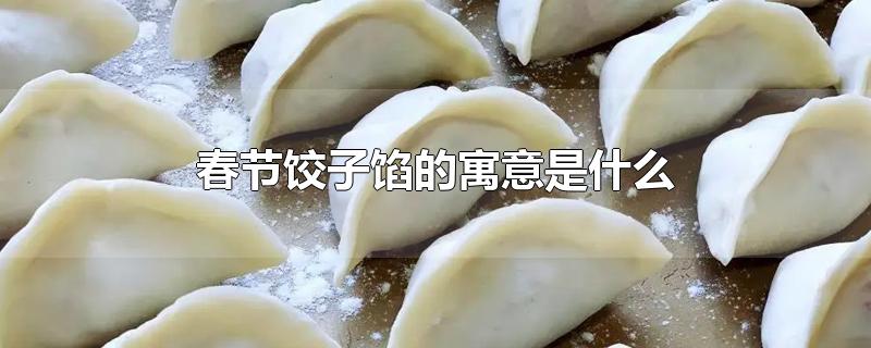 春节饺子馅的寓意是什么