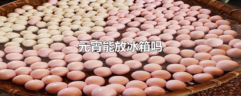元宵能放冰箱吗