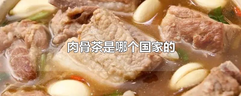 肉骨茶是哪个国家的