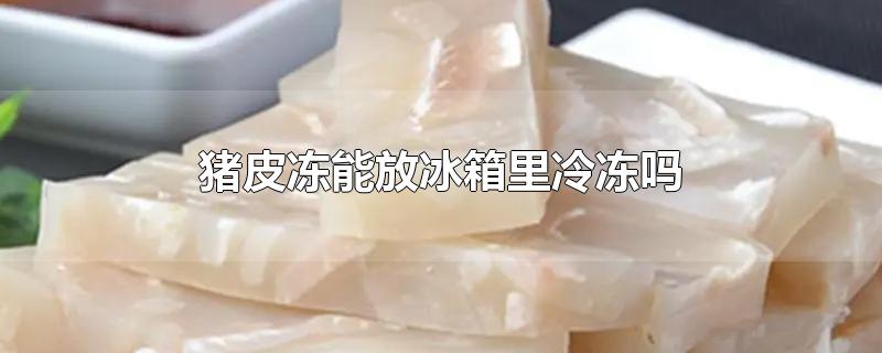 猪皮冻能放冰箱里冷冻吗