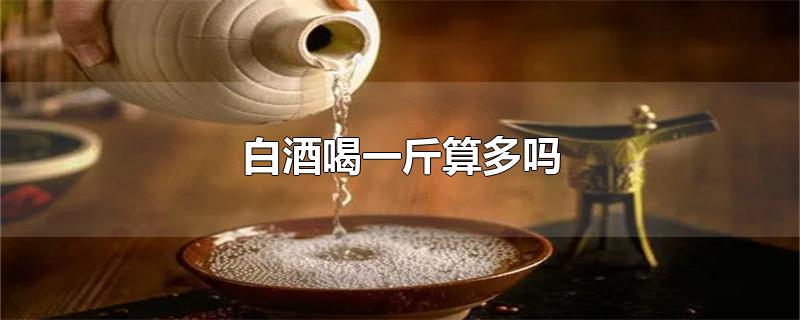白酒喝一斤算多吗